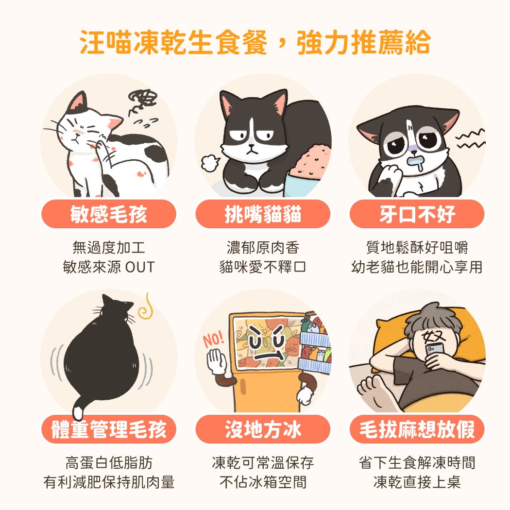 catfreezedriedrawfood_SP02