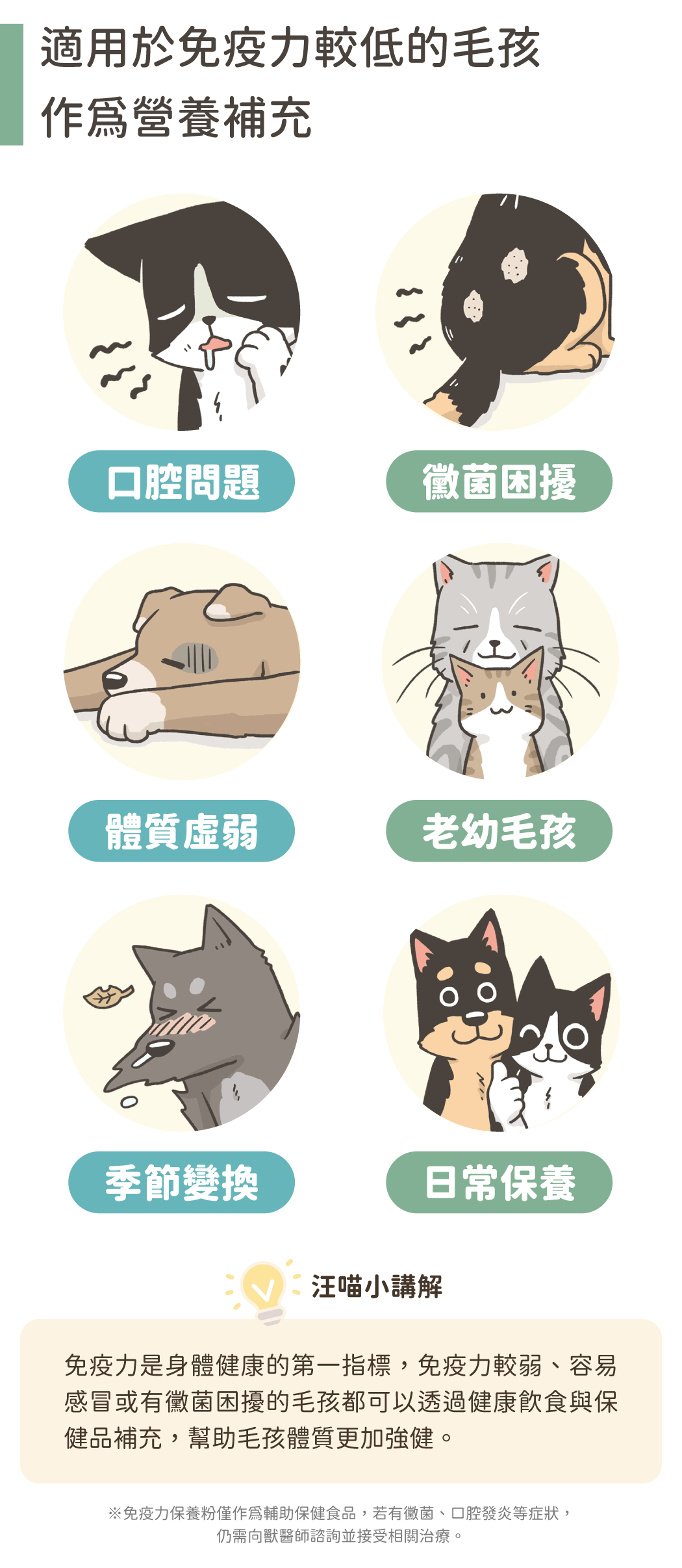 汪喵免疫力提升保養粉