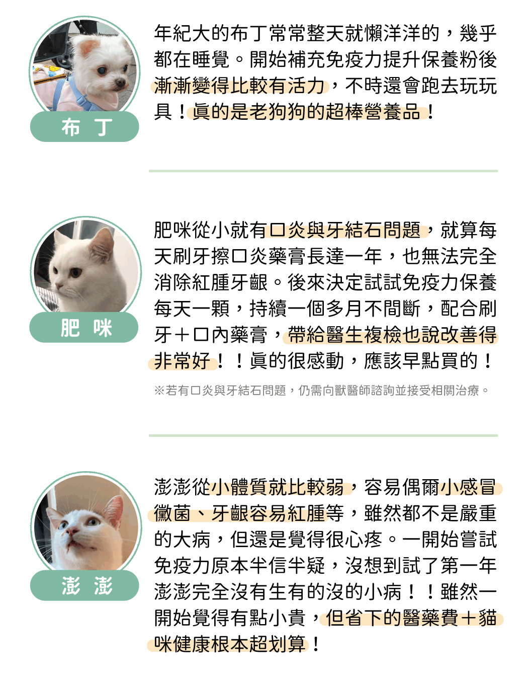 汪喵免疫力提升保養粉
