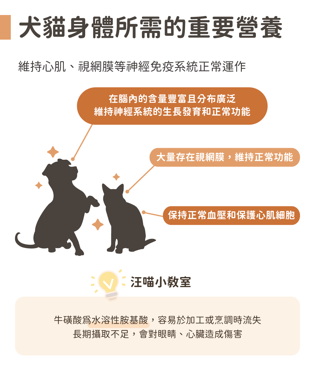 犬貓身體所需的營養