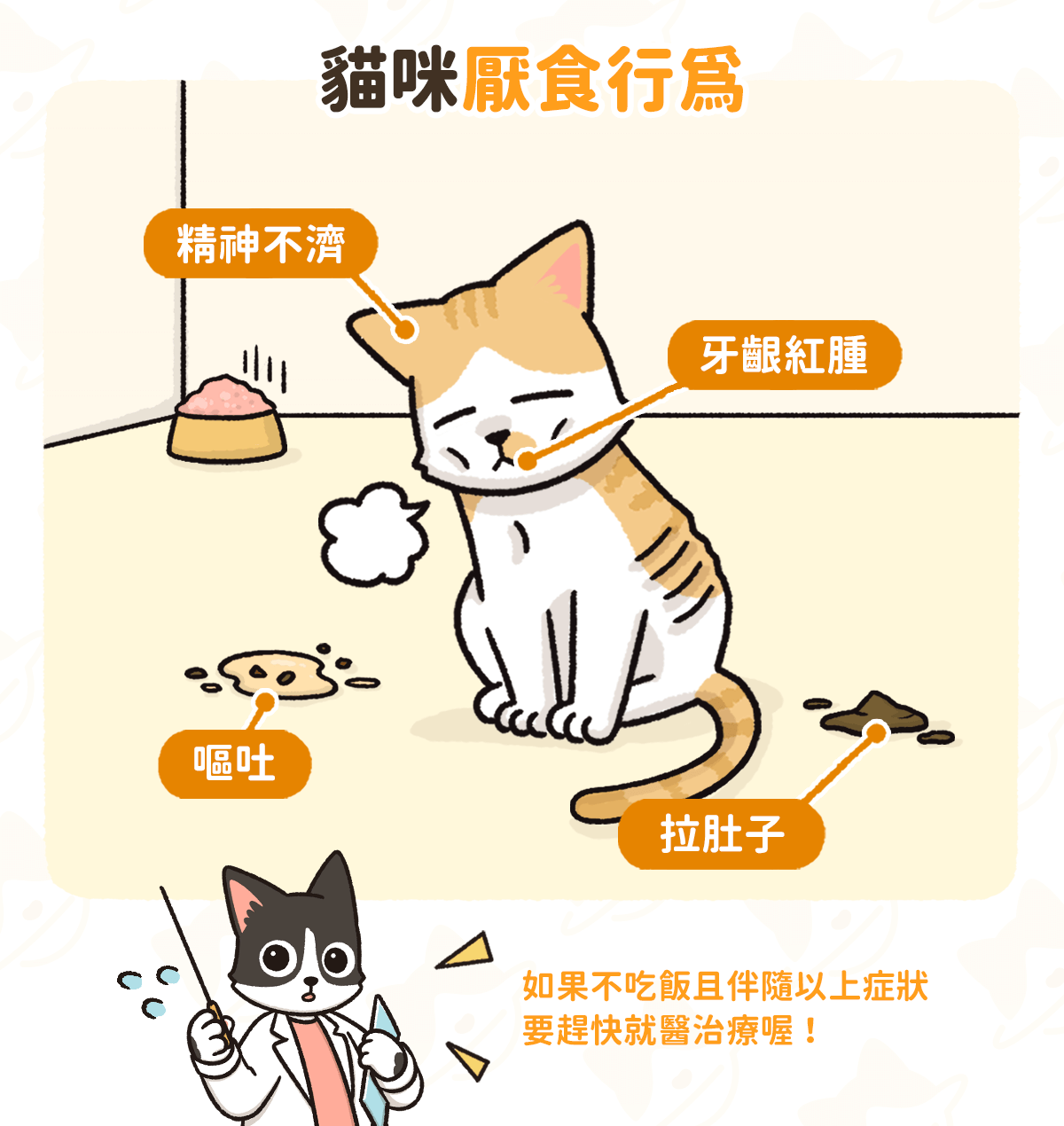 貓咪挑食不吃飯？4 招改善挑食壞習慣，讓挑嘴貓不挨餓、自動吃 - 汪喵星球