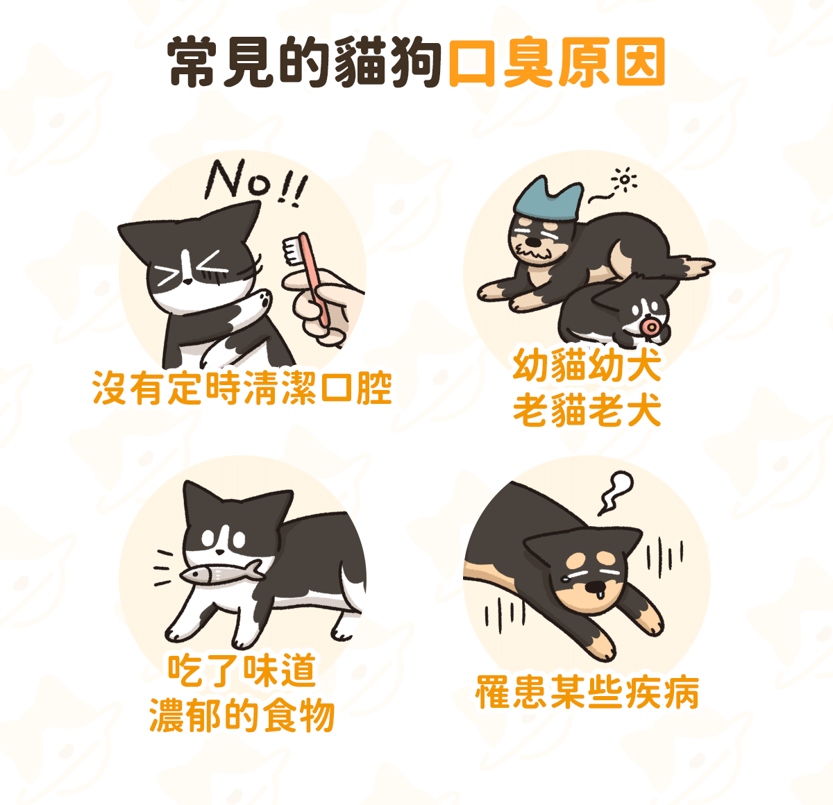 寵物健康 貓狗口臭怎麼辦 口臭原因及解決方法全攻略 汪喵星球