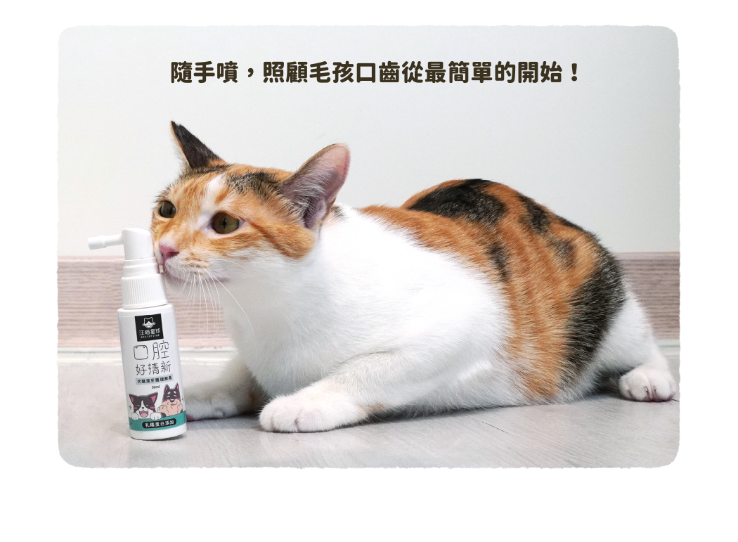 隨手噴,照顧毛孩口齒從最簡單開始