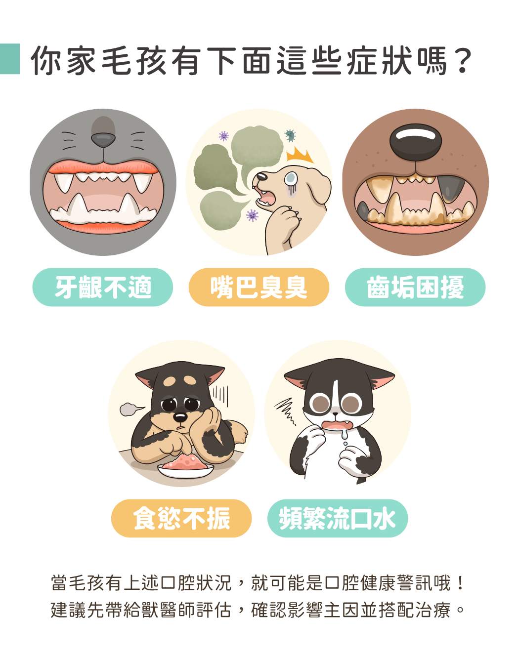 你家毛孩也有這些症狀嗎?