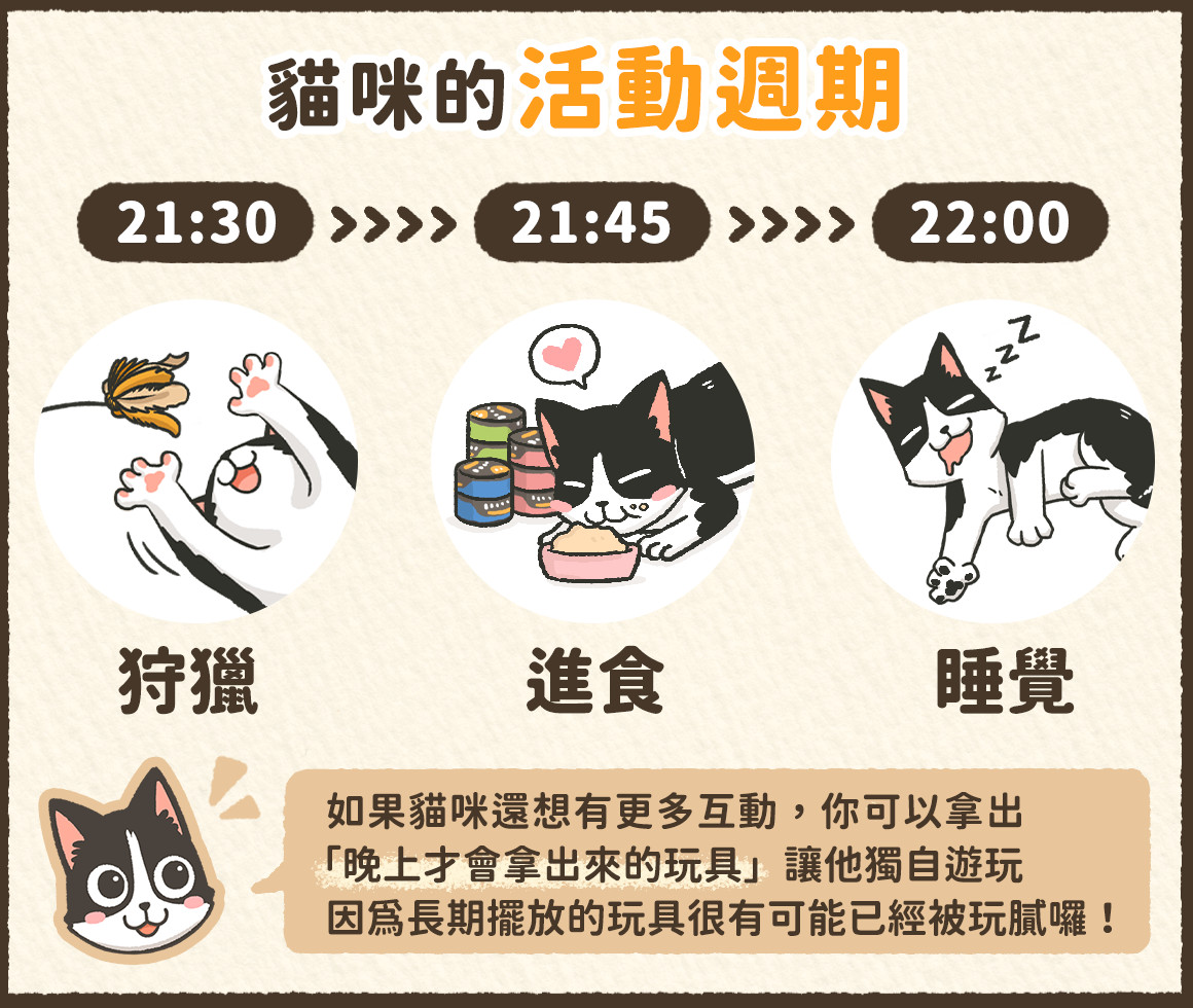 貓 一天 睡眠 時間 (99) 사진