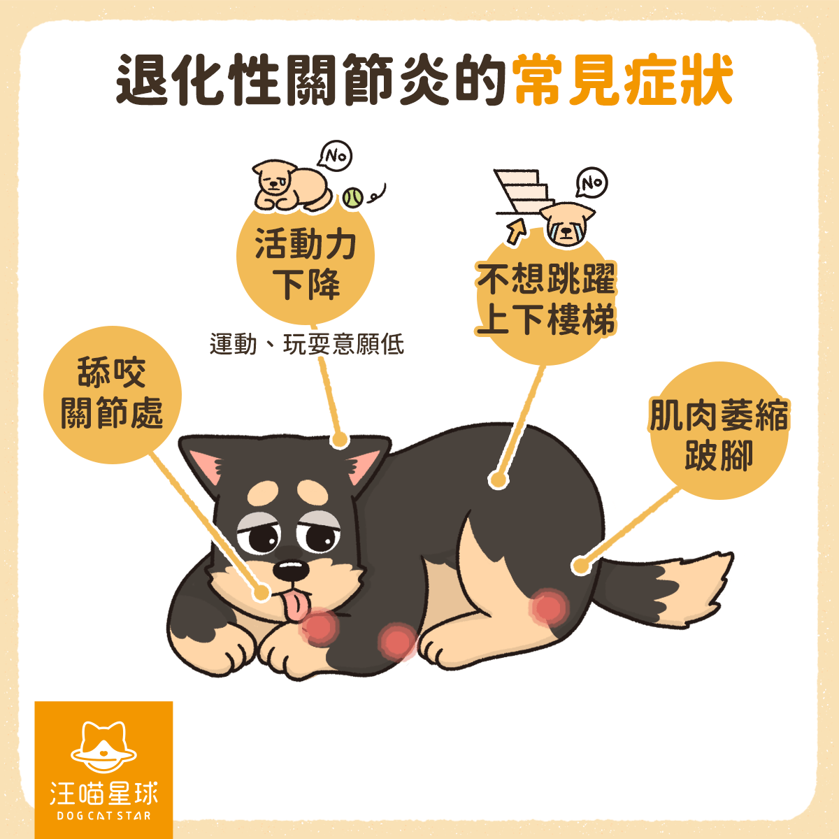 狗狗關節炎的徵兆及治療！獸醫教你關節保健品挑選指南| 汪喵星球