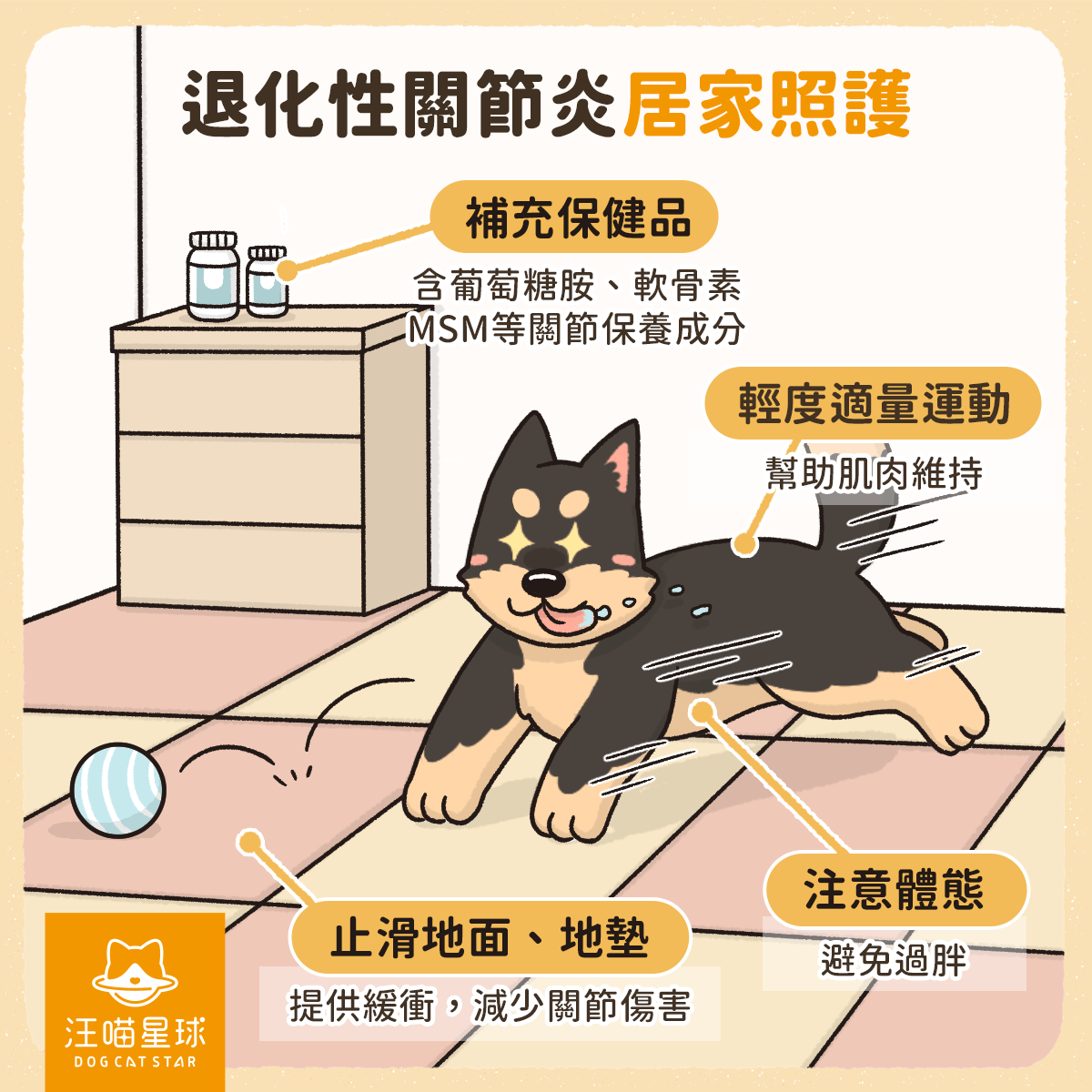 狗狗關節炎的徵兆及治療！獸醫教你關節保健品挑選指南| 汪喵星球