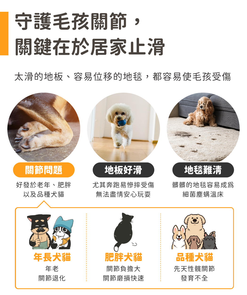 守護毛孩關節,關鍵在於居家止滑