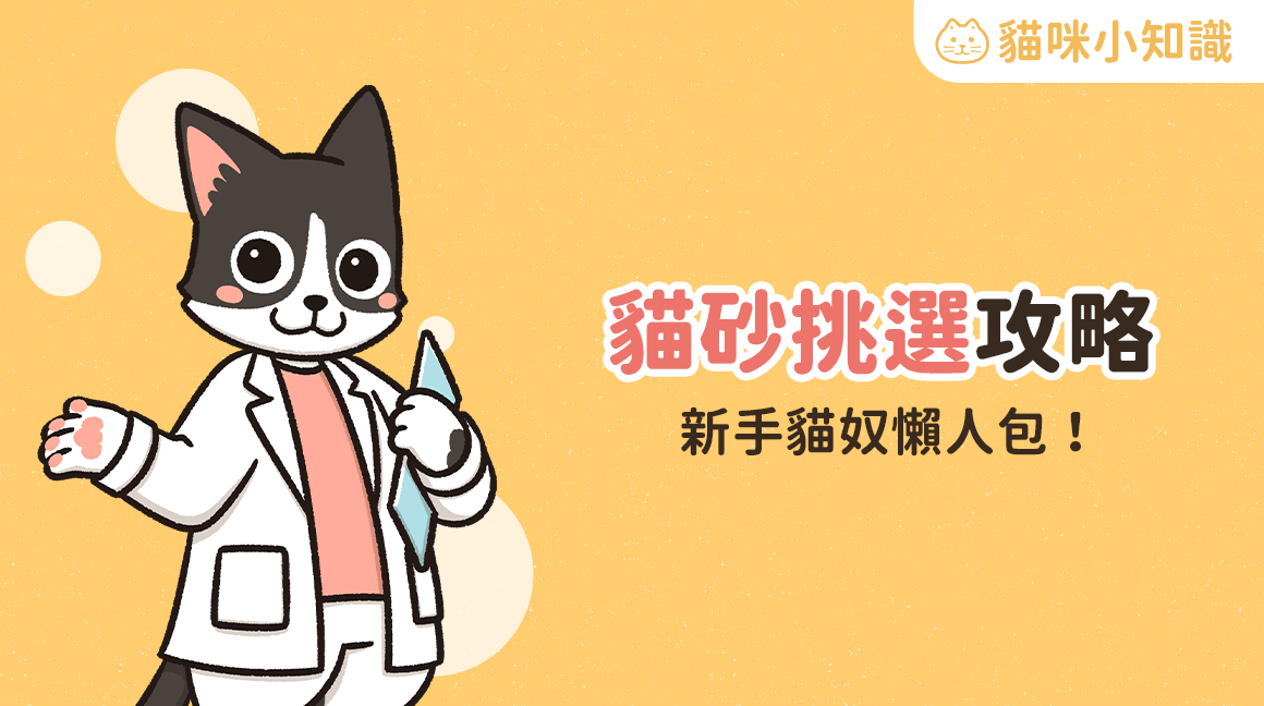 貓砂推薦挑選攻略 教你挑選最適合的貓砂 3分鐘搞懂常見種類 貓砂推薦挑選攻略 教你挑選最適合的貓砂 3分鐘搞懂常見種類