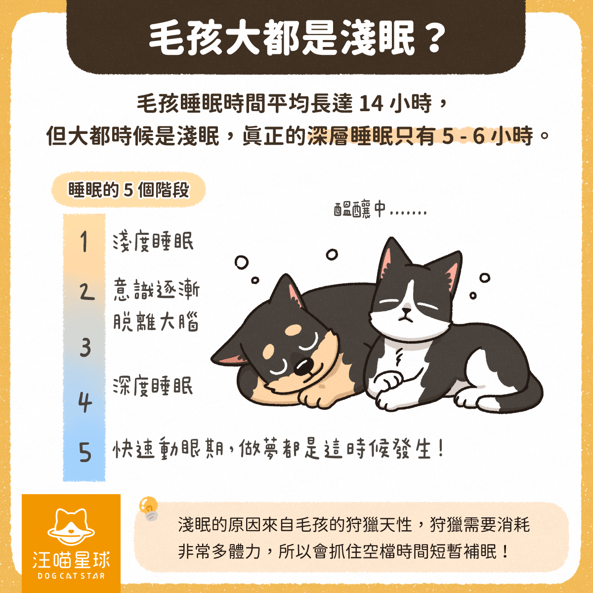 汪喵冷知識】毛孩做夢也想著你？毛孩睡眠的4 個小知識！ - 汪喵星球