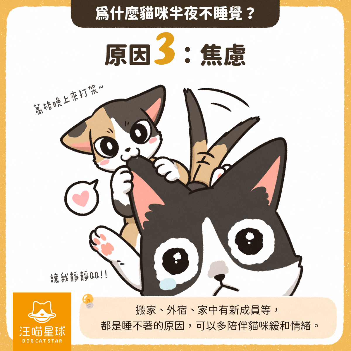 汪喵冷知識】貓咪半夜不睡覺怎麼辦！？教你3 招讓夜貓子熟睡！ - 汪喵星球