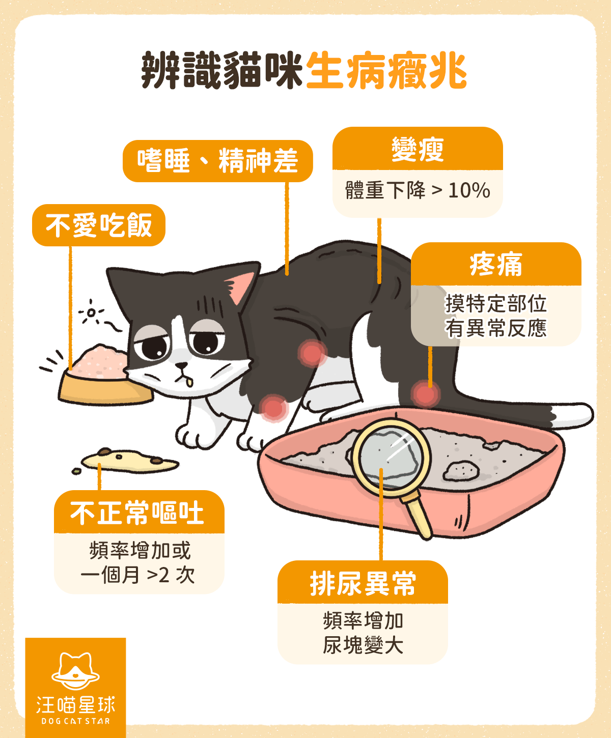 貓咪發抖是因為老了？獸醫師教你辨識老化現象、疾病徵兆- 汪喵星球