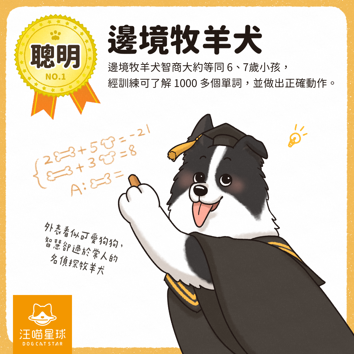 第一名的狗狗大集合！快來看你家狗狗有沒有上榜- 汪喵星球