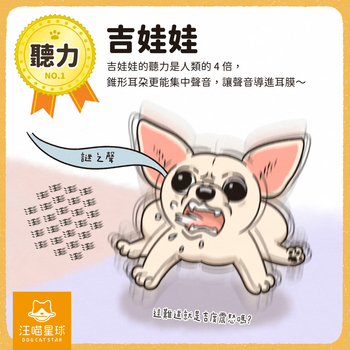 第一名的狗狗大集合！快來看你家狗狗有沒有上榜- 汪喵星球