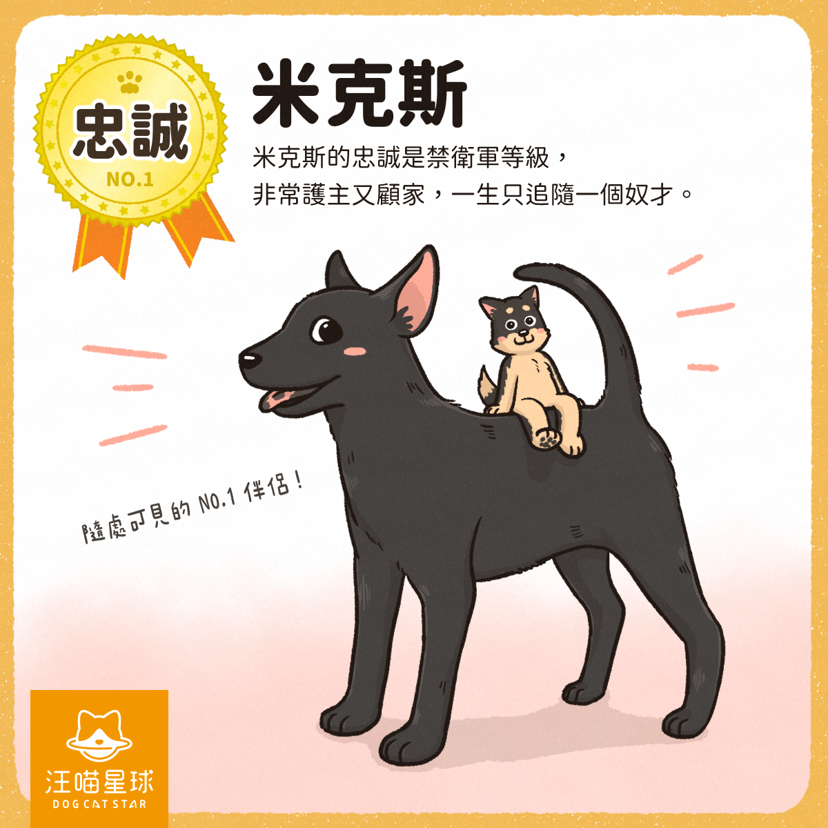 第一名的狗狗大集合！快來看你家狗狗有沒有上榜- 汪喵星球