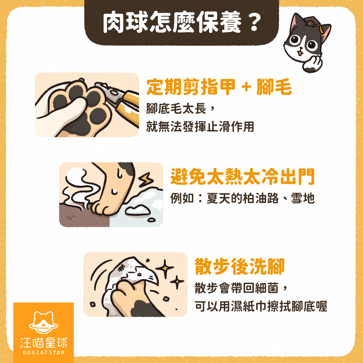 汪喵冷知識 肉球的味道是細菌味 萌萌肉球的3 大功能 汪喵星球