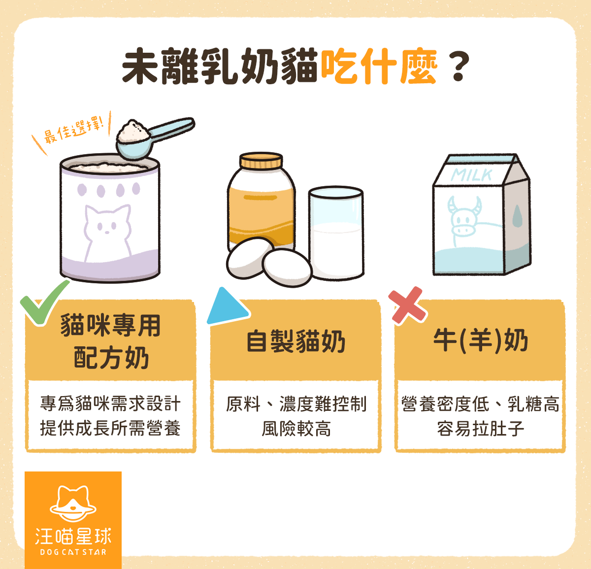 第一次養貓就上手！滿月到三個月幼貓照顧、飲食、注意事項一篇搞定- 汪喵星球