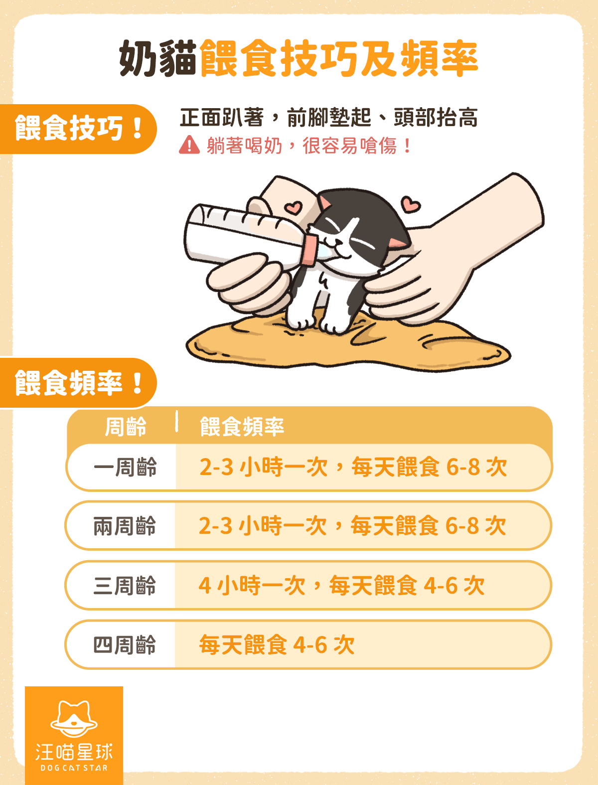 第一次養貓就上手！滿月到三個月幼貓照顧、飲食、注意事項一篇搞定- 汪喵星球