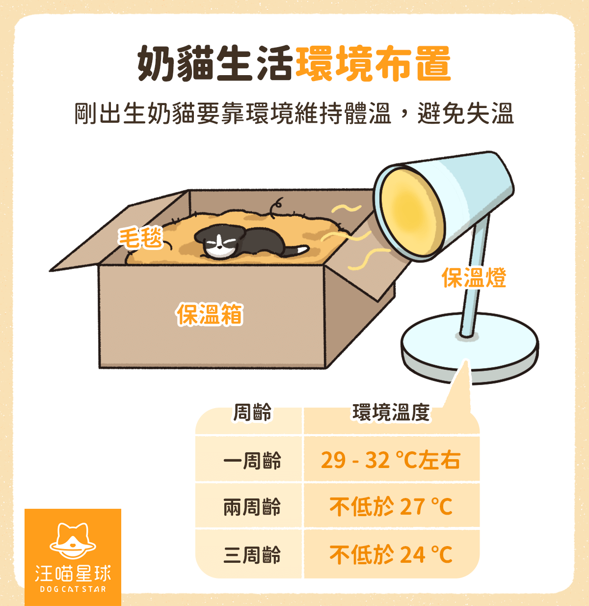 第一次養貓就上手！滿月到三個月幼貓照顧、飲食、注意事項一篇搞定- 汪喵星球