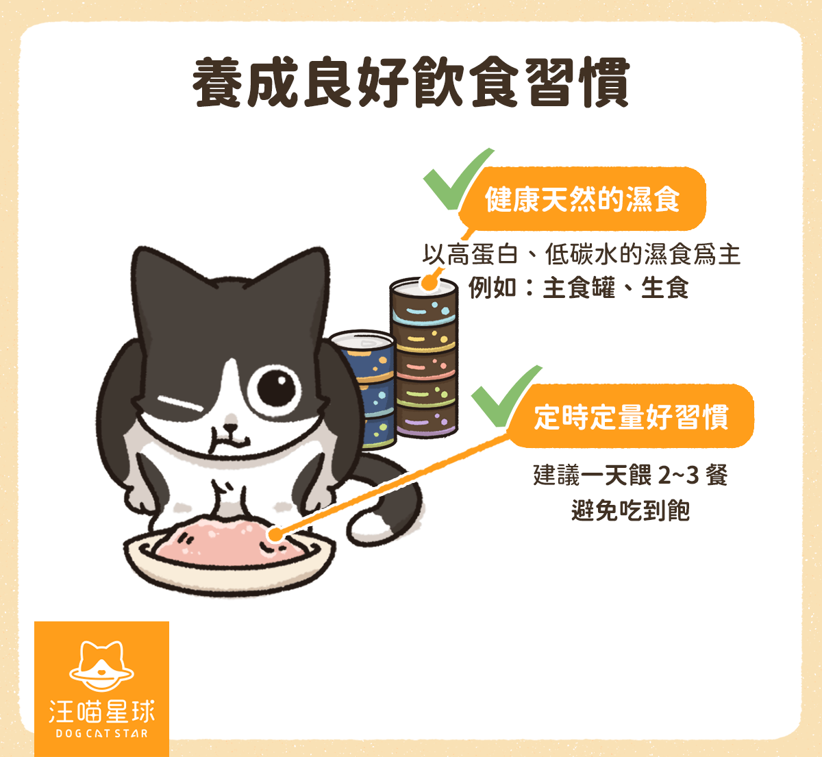 第一次養貓就上手！滿月到三個月幼貓照顧、飲食、注意事項一篇搞定- 汪喵星球