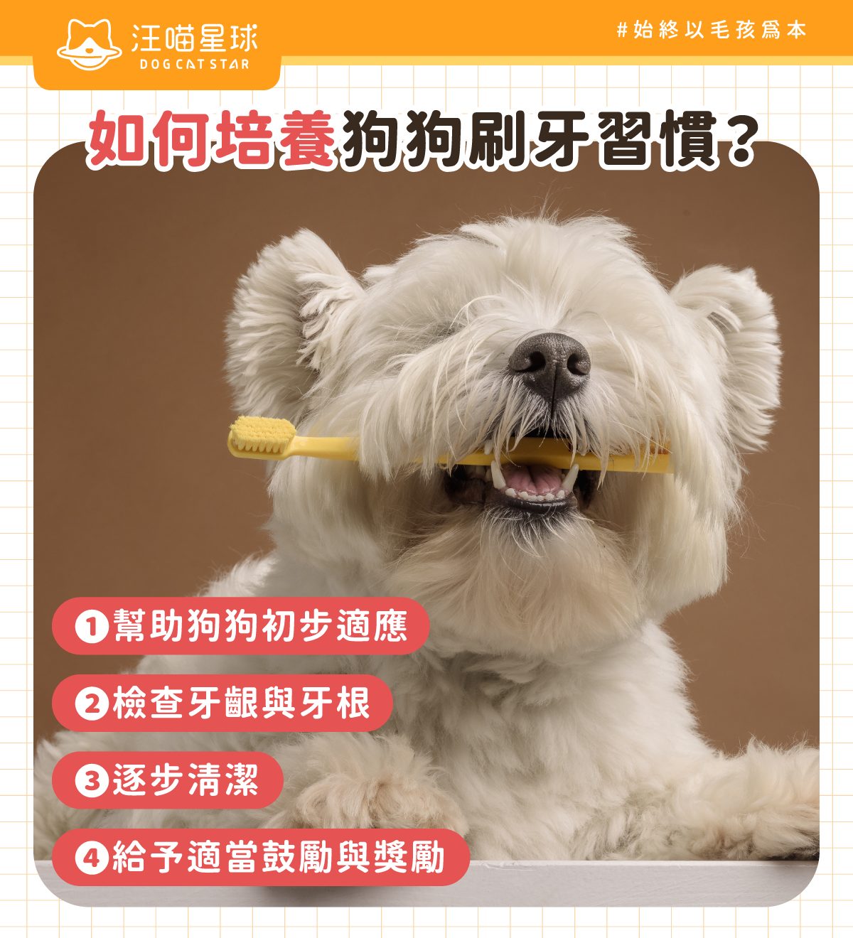 狗狗刷牙訓練