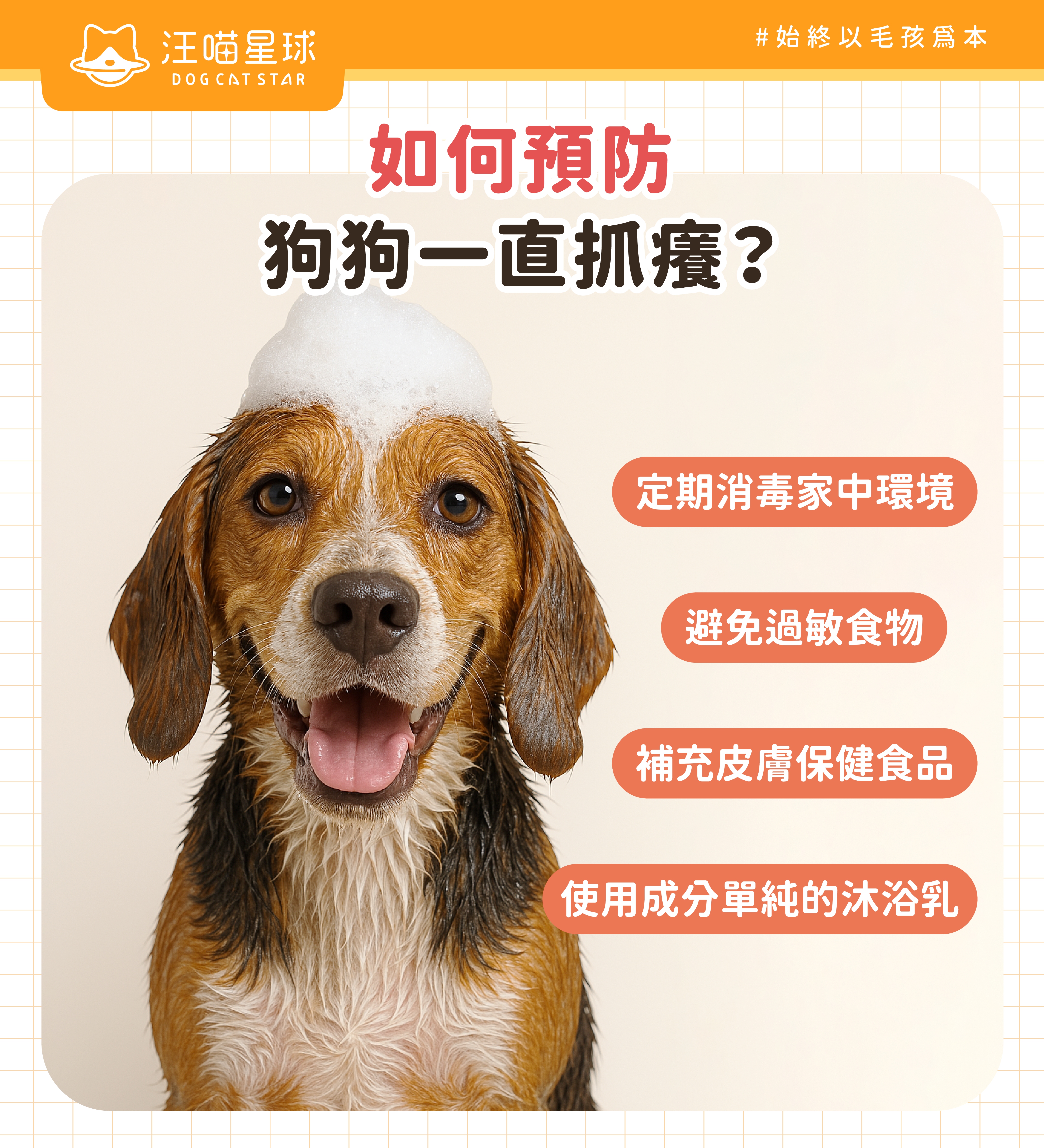 狗狗一直抓癢預防