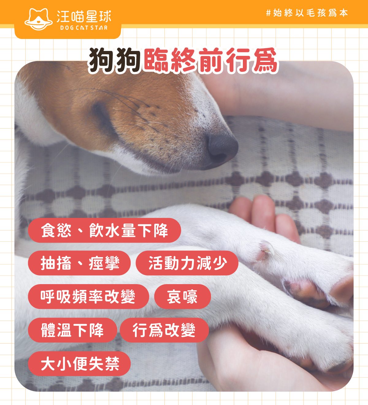 狗狗臨終前症狀