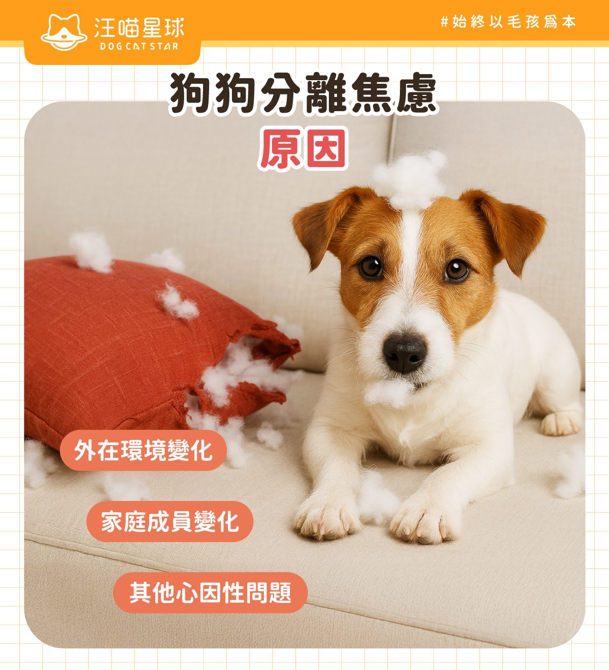 狗狗分離焦慮原因