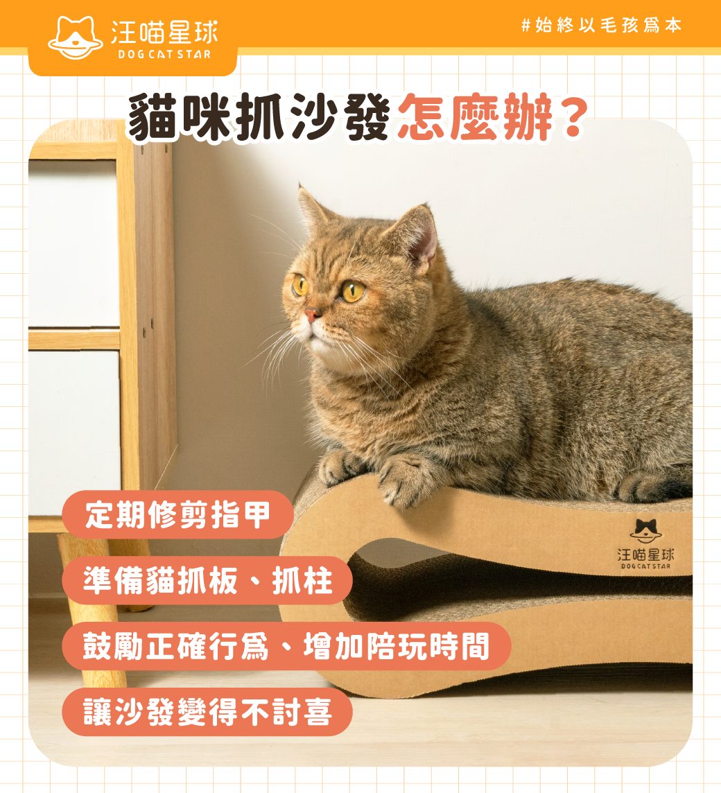 貓咪喜歡抓沙發怎麼辦