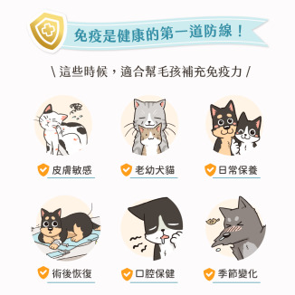 貓咪肉泥、健康肉泥、天然肉泥、貓泥、機能肉泥