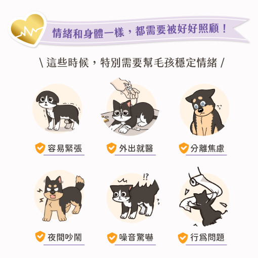 貓咪肉泥、健康肉泥、天然肉泥、貓泥、機能肉泥