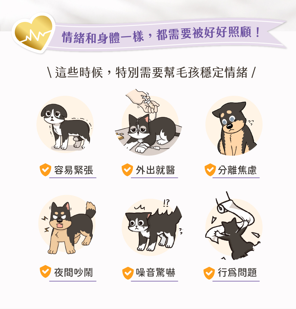 貓咪肉泥、健康肉泥、天然肉泥、貓泥、機能肉泥