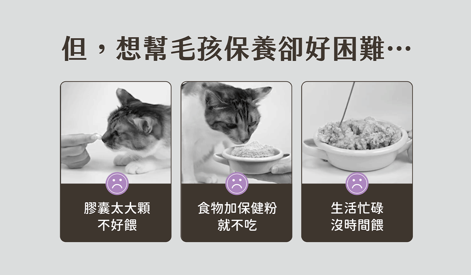 貓咪肉泥、健康肉泥、天然肉泥、貓泥、機能肉泥