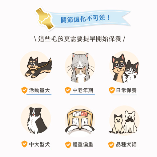 保健肉泥 貓咪肉泥 健康肉泥 天然肉泥 貓泥 機能肉泥