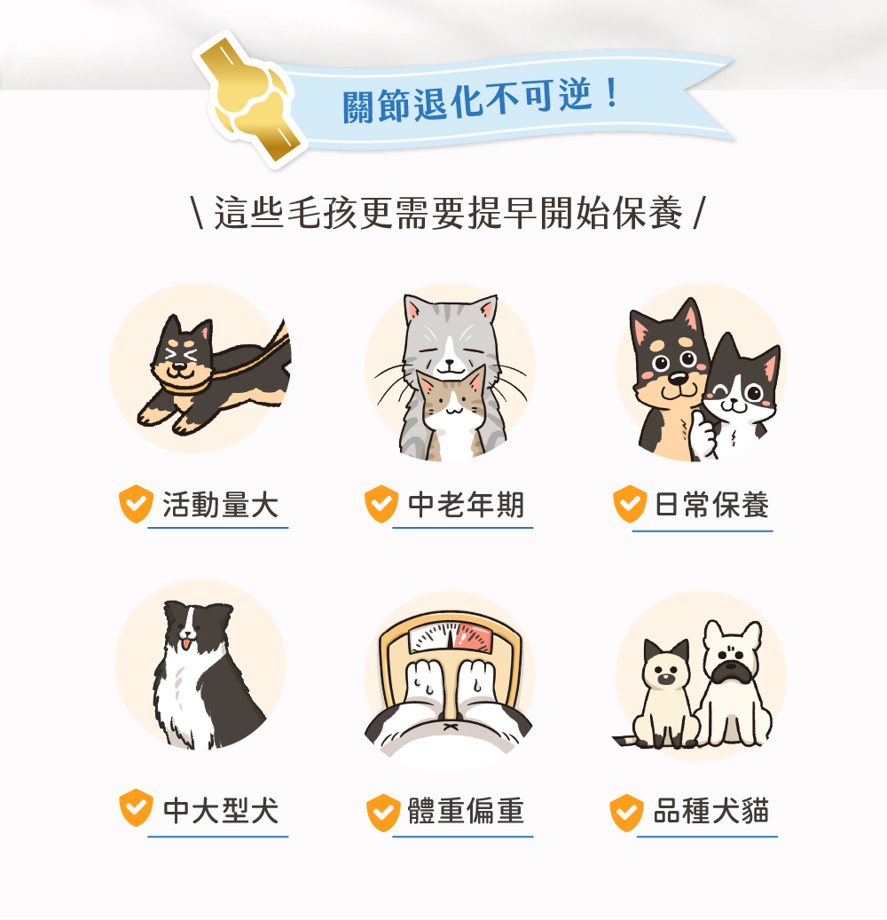 保健肉泥 貓咪肉泥 健康肉泥 天然肉泥 貓泥 機能肉泥
