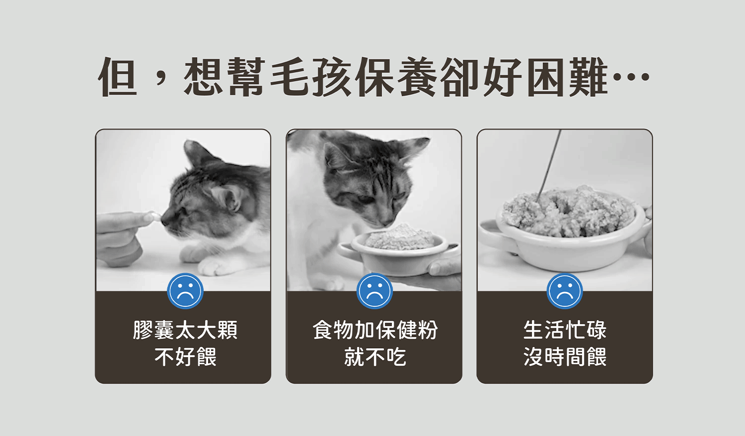 保健肉泥 貓咪肉泥 健康肉泥 天然肉泥 貓泥 機能肉泥