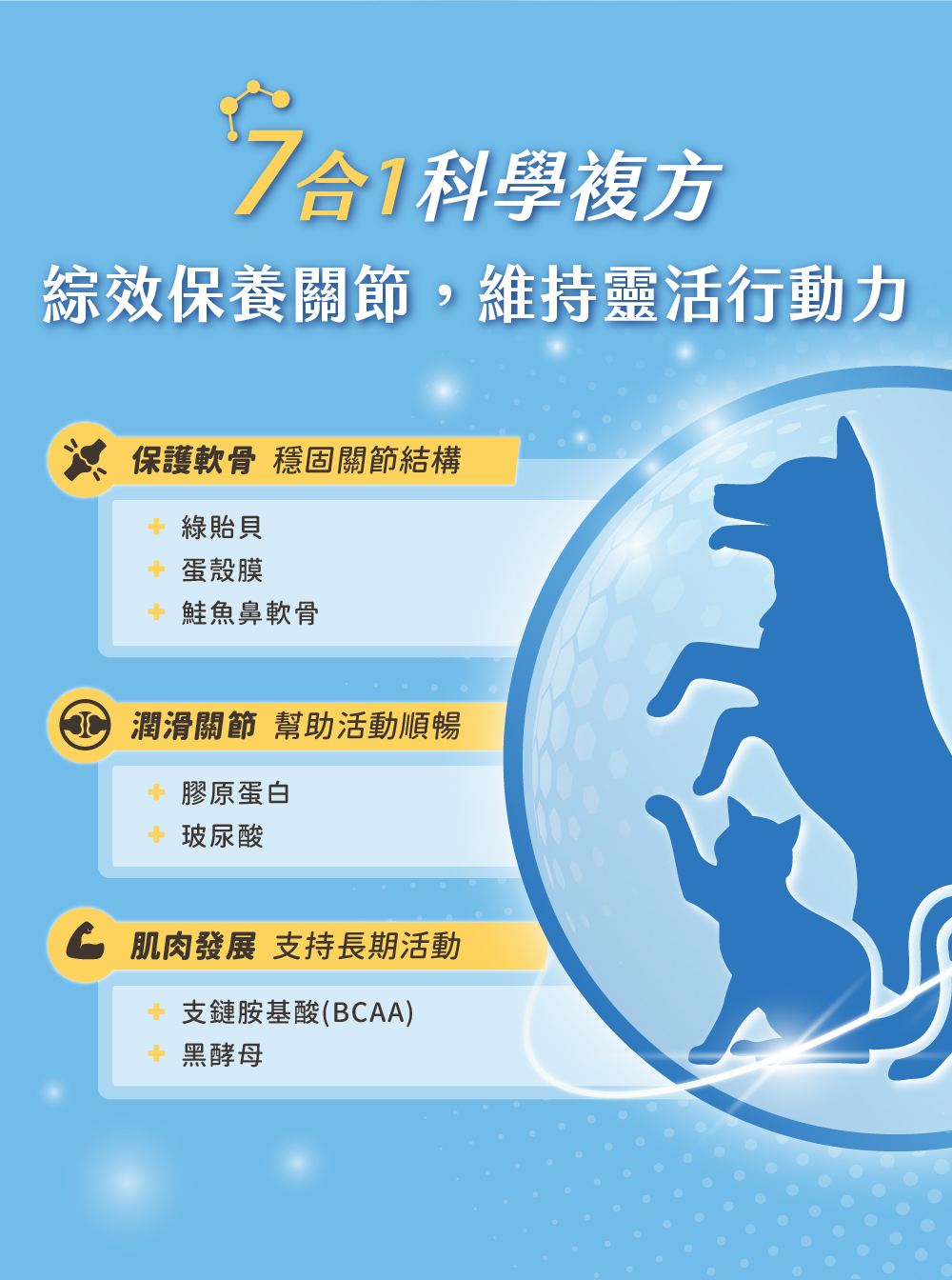 保健肉泥 貓咪肉泥 健康肉泥 天然肉泥 貓泥 機能肉泥