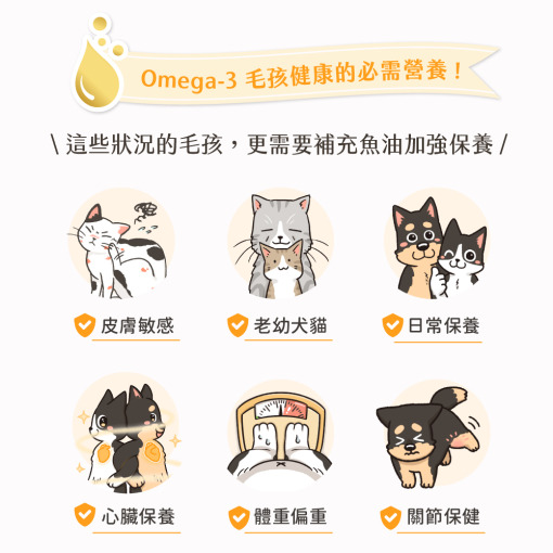 保健肉泥 貓咪肉泥 健康肉泥 天然肉泥 貓泥 機能肉泥