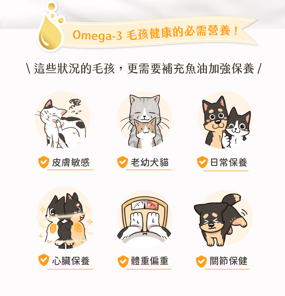 保健肉泥 貓咪肉泥 健康肉泥 天然肉泥 貓泥 機能肉泥