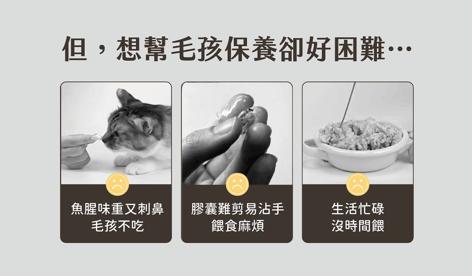 保健肉泥 貓咪肉泥 健康肉泥 天然肉泥 貓泥 機能肉泥