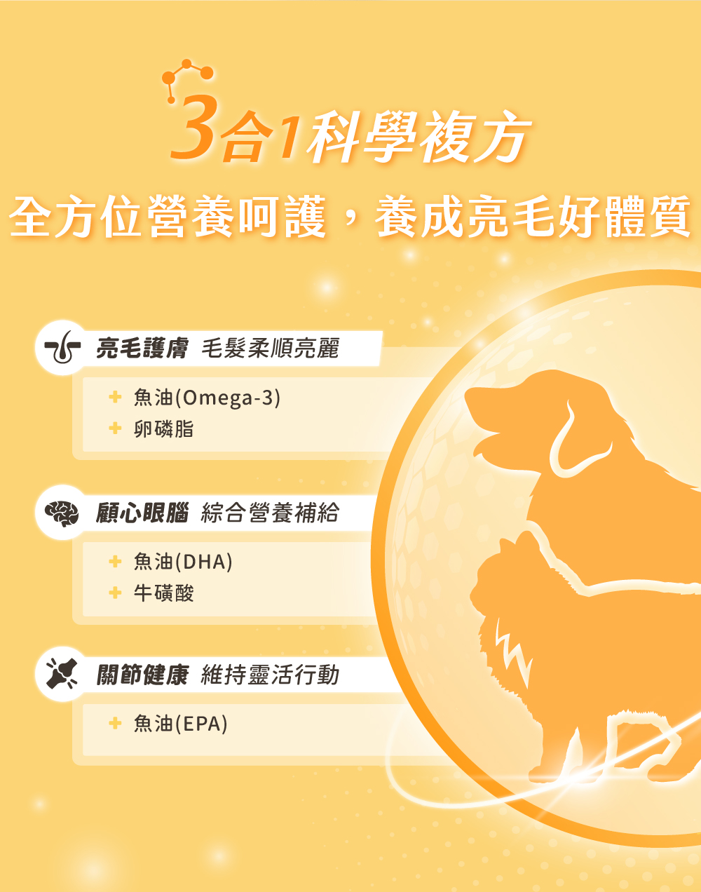 保健肉泥 貓咪肉泥 健康肉泥 天然肉泥 貓泥 機能肉泥