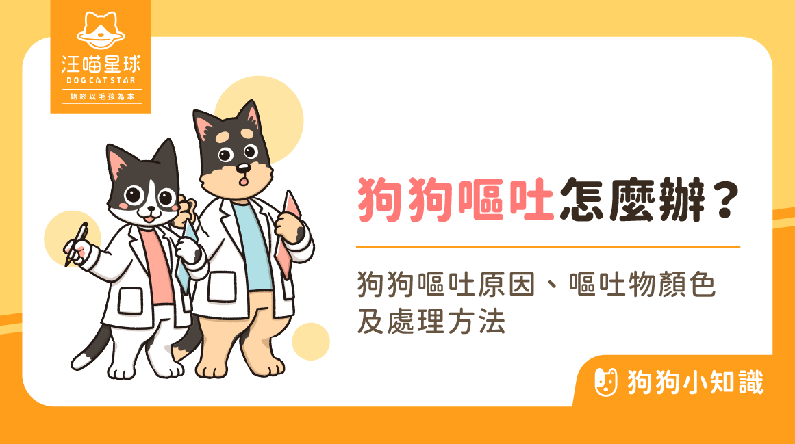 狗狗吐狗狗嘔吐