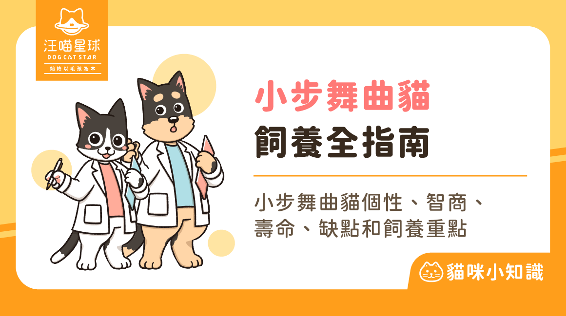 小步舞曲貓拿破崙貓