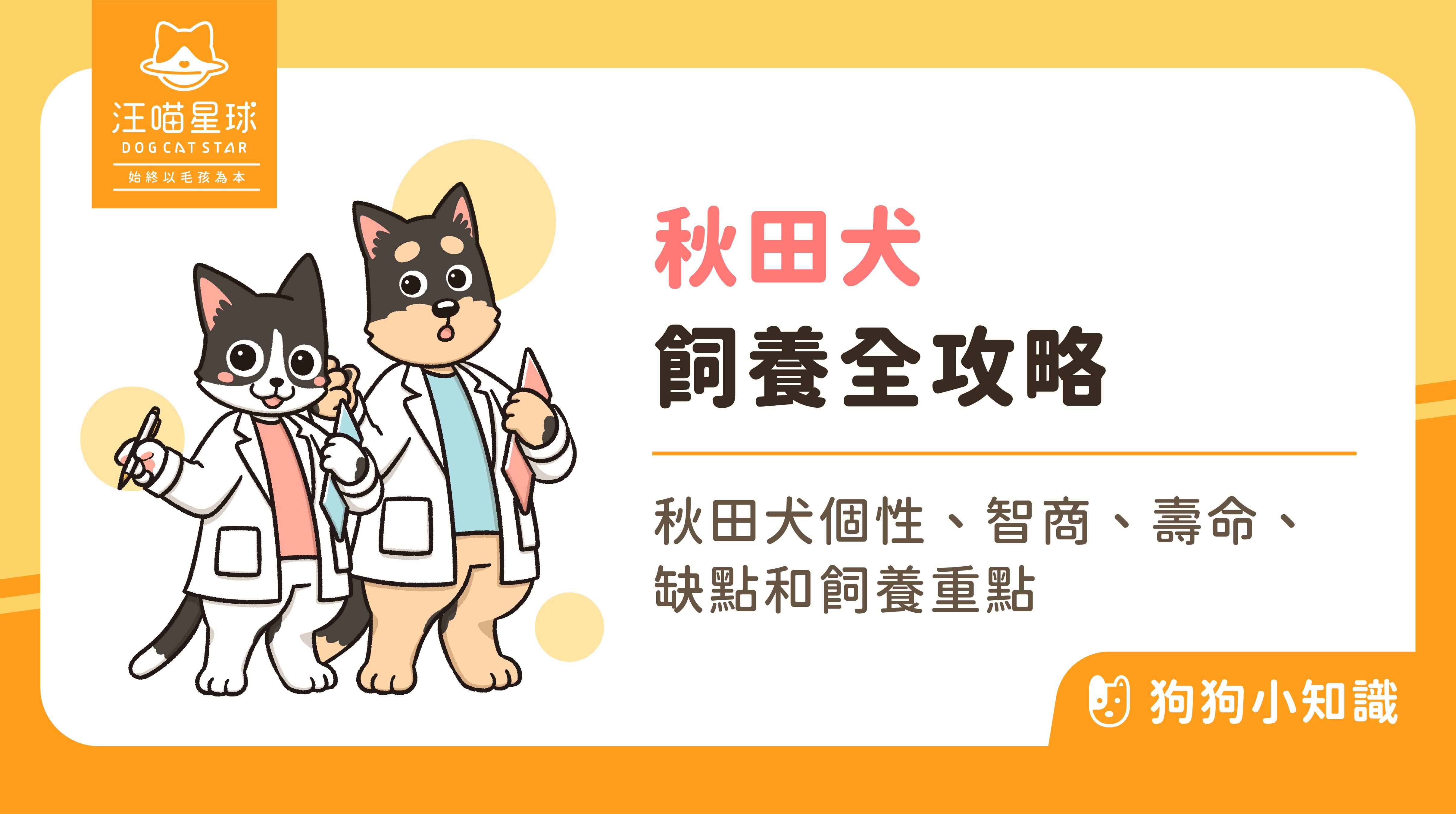 秋田犬vs 柴犬分別？忠犬小八的性格、大小、飼養與訓練指南- 汪喵星球