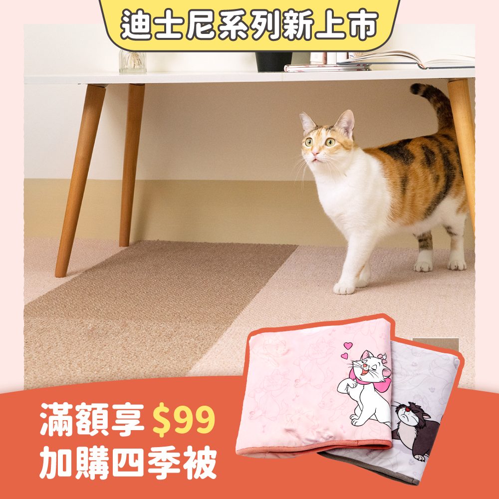 2025雙十二_台灣_TOLI270