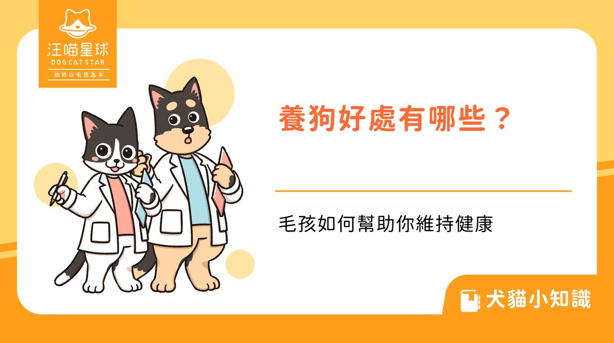 養狗好處有哪些？毛孩如何幫助你維持健康