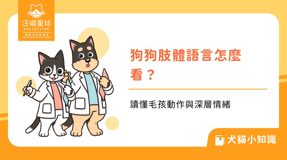 狗狗肢體語言怎麼看？讀懂毛孩動作與深層情緒