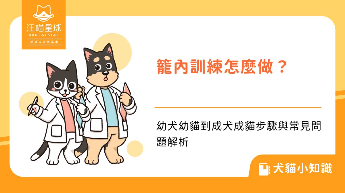 籠內訓練怎麼做?幼犬幼貓到成犬成貓步驟與常見問題解析