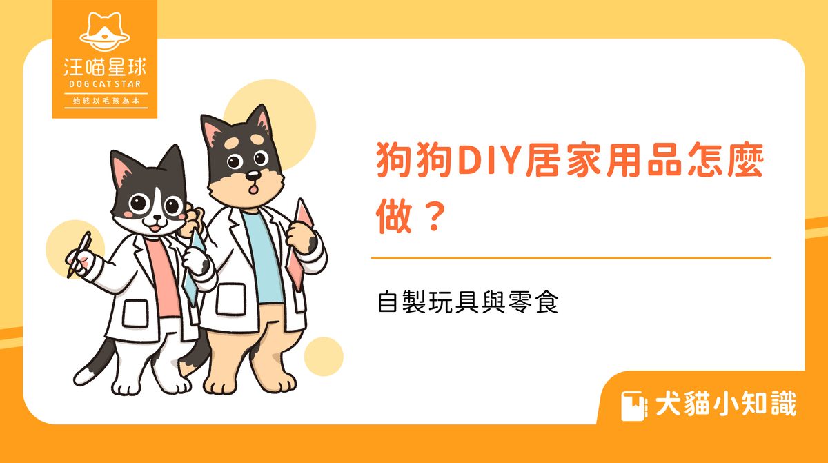 狗狗DIY居家用品怎麼做？自製玩具與零食