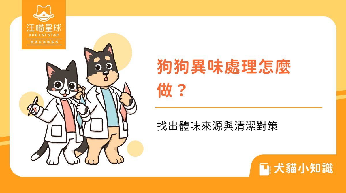 狗狗異味處理怎麼做？找出體味來源與清潔對策